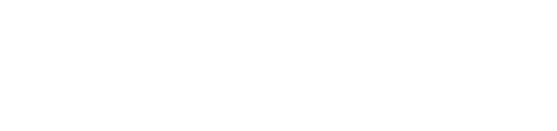Logo white